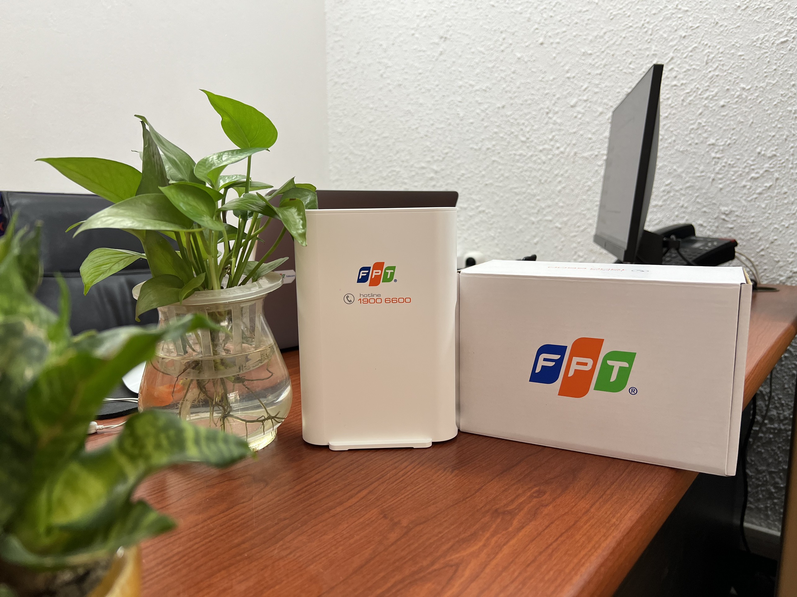 Lắp đặt wifi 6 FPT